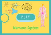 Nervous system game quiz online